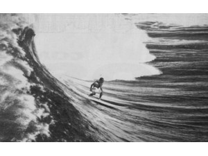 Image1