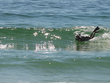 03_555w7792b_olw