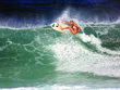 Hawaii_day_3_-_the_c_2fe8d5