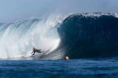Finless freaks in the desert: No soft options, just hard edges.