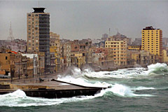 Havana Surf