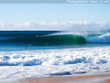 High tide lines surprise the
pack - NSW South Coast