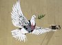 Dove