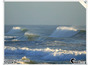 Somewhere_on_the_sunny_coast_140209_01