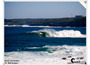 Bombs_and_bunkers_310110_01