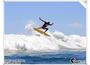 Single_fins_on_the_sabbath_140110_01