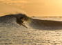 Saltmotion_img_8591_2011_12_03