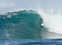 Margs_01_81