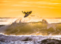 Ziggy Alberts: Sunshine & Stardust
