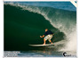 Rabbit_closes_the_door_290109_01