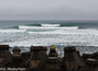 9_jinzun_harbor-6479