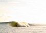 Saltmotion_img_8870_2011_12_03