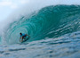 Kalani_david_tcarey0356