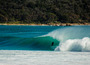 Connor_jackson_shaun_green