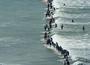 110surfers_1527067c