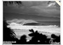 After_the_rain_300109_01