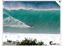 The_bra_from_afar_290109_01